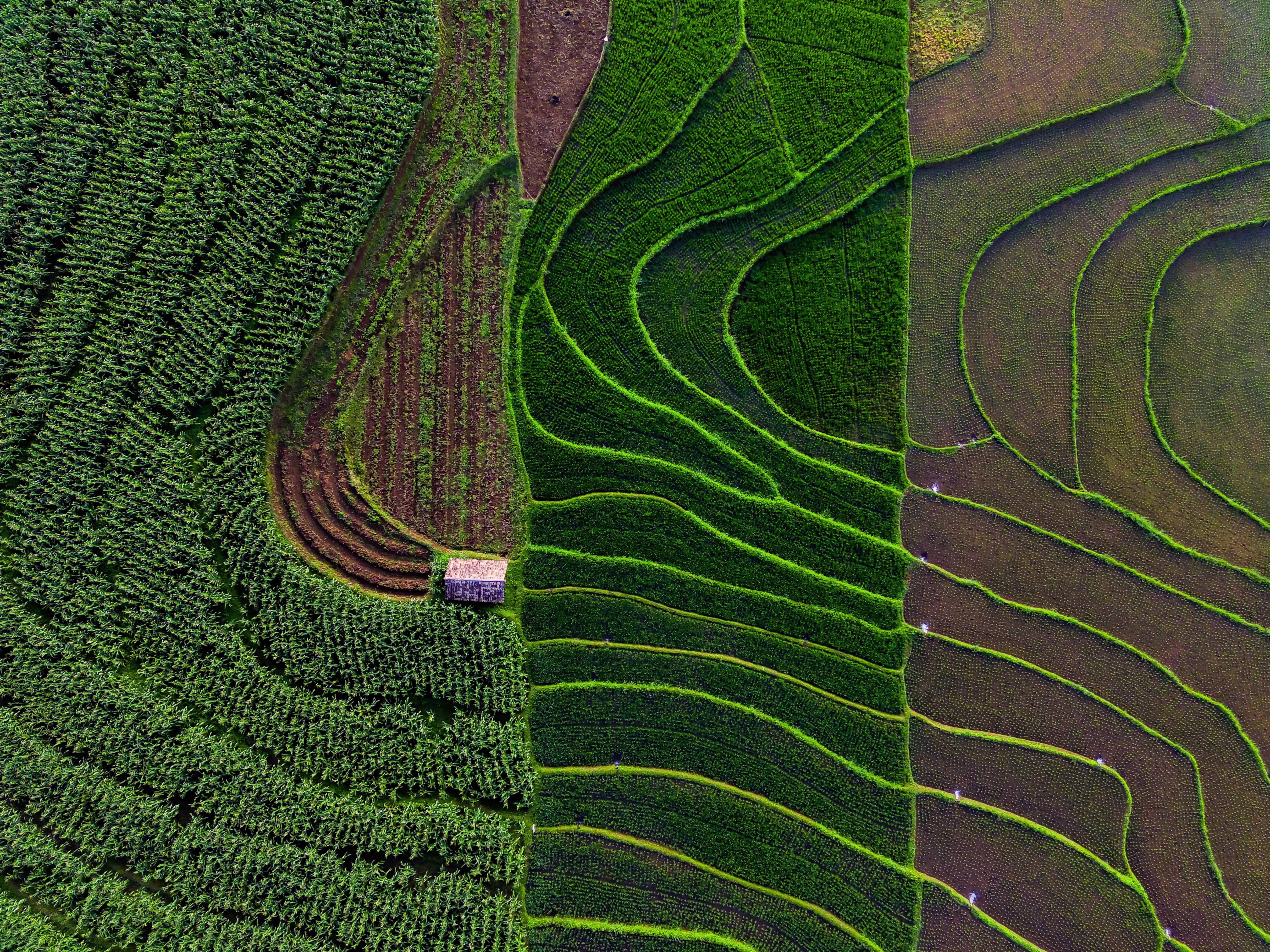 Sowing Resilience